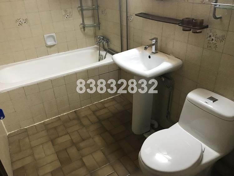 Serangoon Ville (Enbloc) (D19), Apartment #158111852
